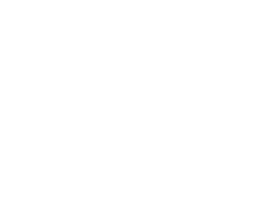 The Tint Shop